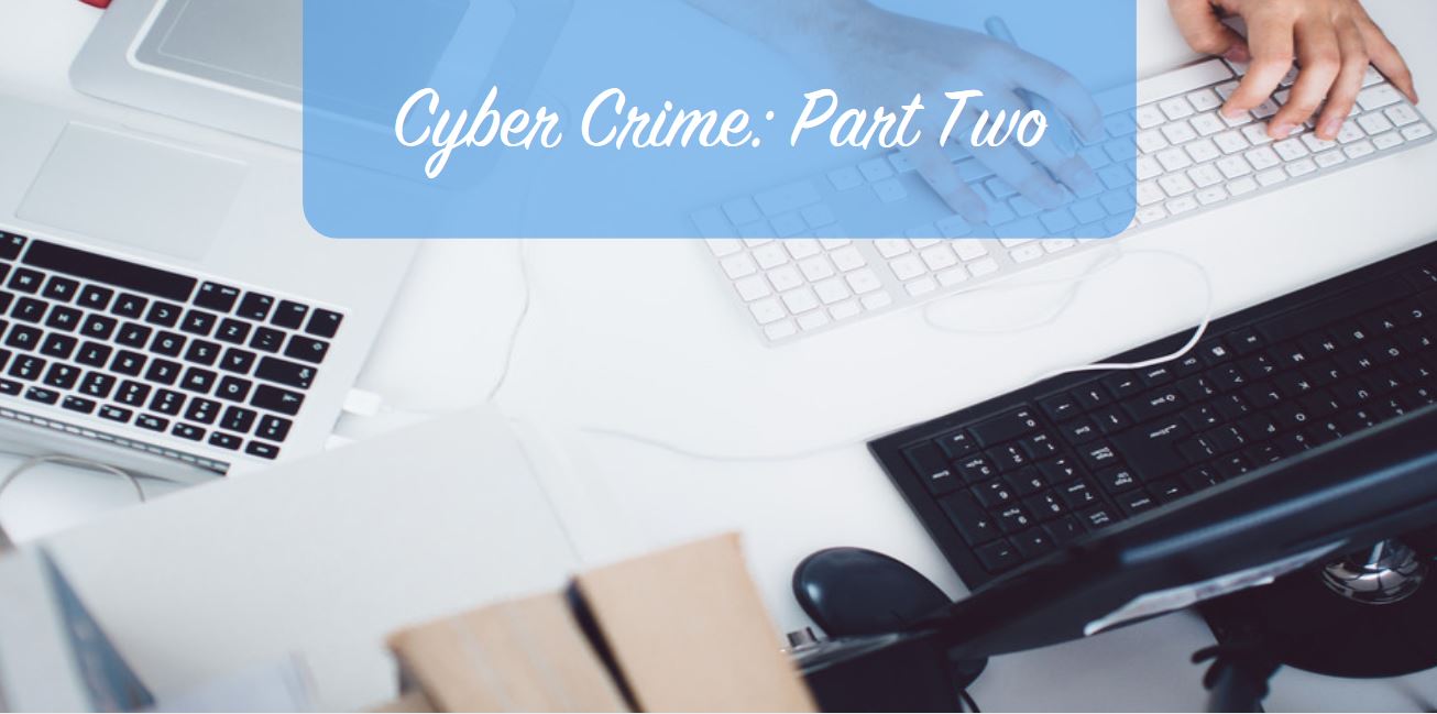 Cyber Crime: Part Two