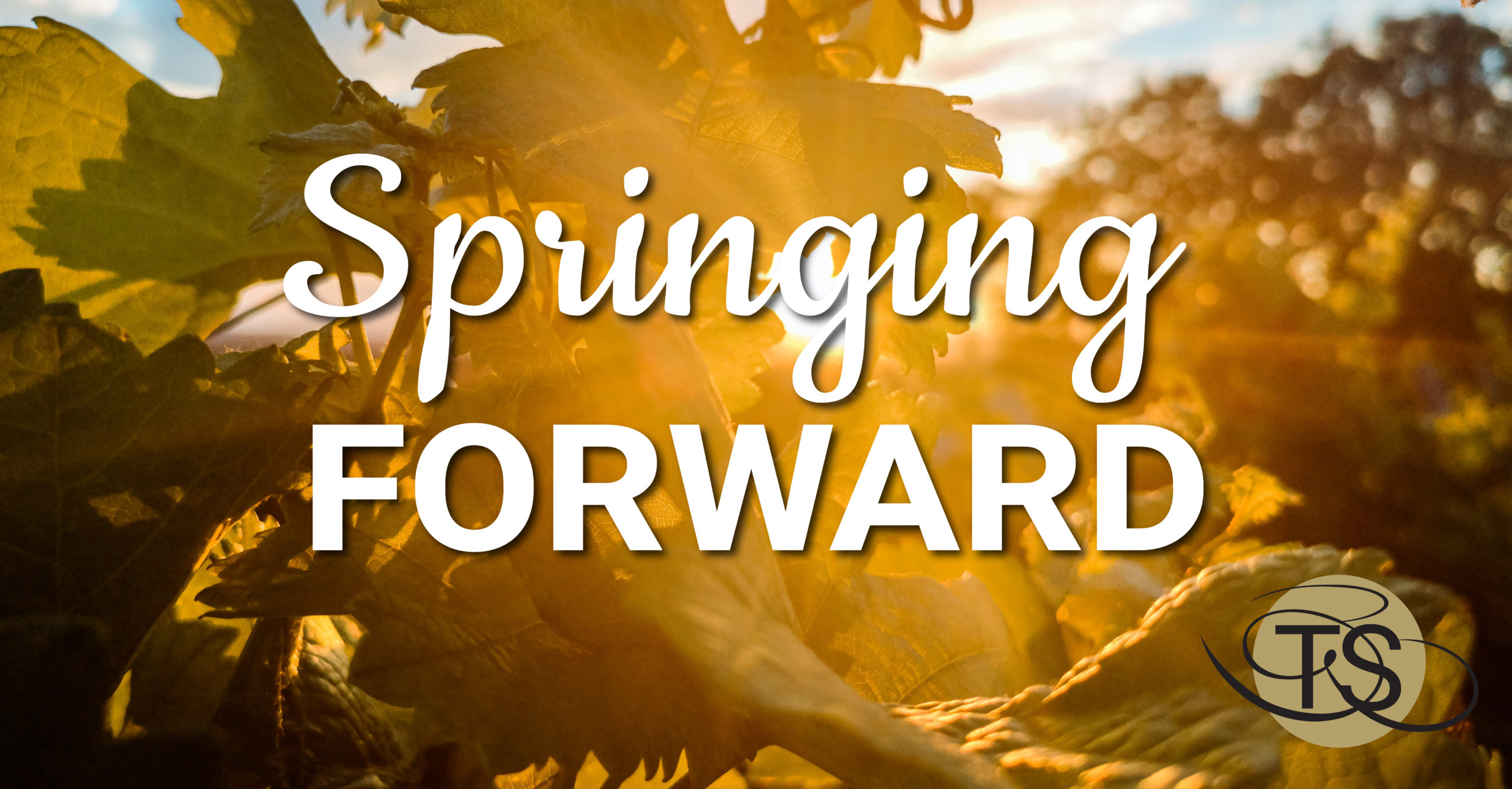 Springing Forward